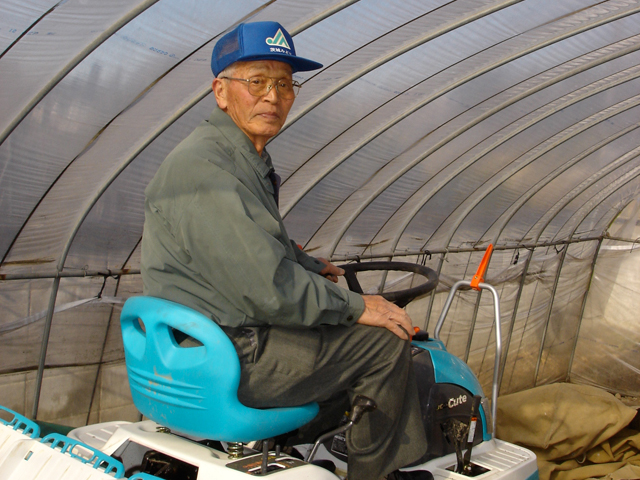 小橋